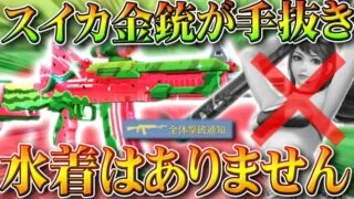 【荒野行動】スイカイベ実装！金銃がまさかの○抜き…→水着はありません！無料無課金ガチャリセマラプロ解説。こうやこうど拡散の為👍お願いします【アプデ最新情報攻略まとめ】